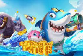 188bet官网入口2024最新版